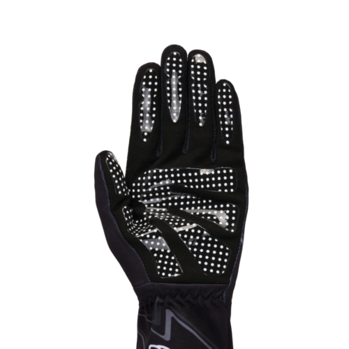 TECH-1 K RACE V2 GLOVES GRAPHIC 1｜Japan official｜alpinestars